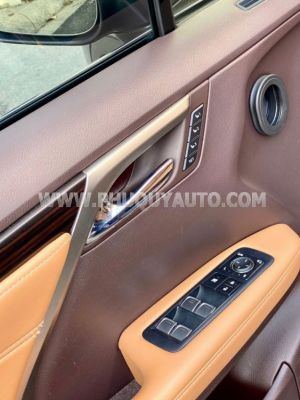 Xe Lexus RX 300 2019