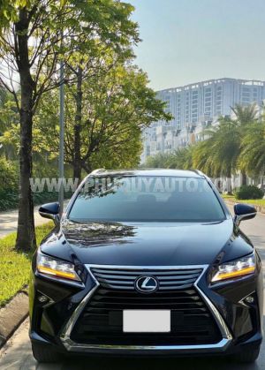 Xe Lexus RX 300 2019