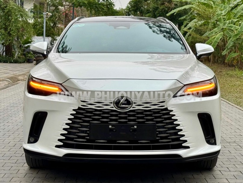 RX 350 Luxury 2024