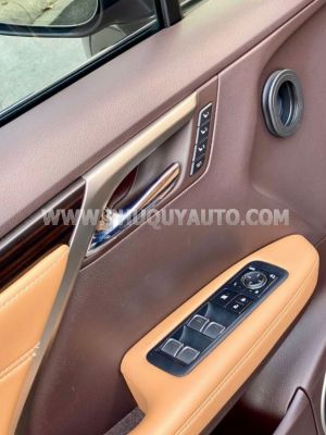 Xe Lexus RX 300 2019