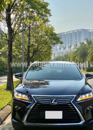 Xe Lexus RX 300 2019