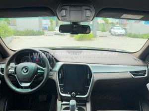 Xe VinFast Lux SA 2.0 Premium 2.0 AT 2021