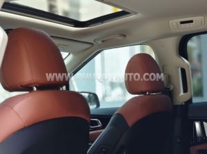 Xe Kia Carnival Signature 2.2D 2023