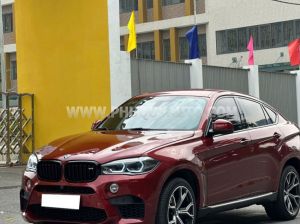 Xe BMW X6 xDrive35i 2016