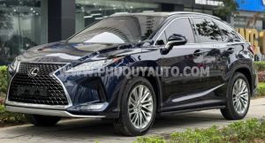 Xe Lexus RX 300 2020