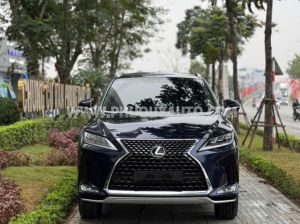 Xe Lexus RX 300 2020