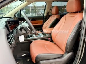 Xe Kia Carnival Signature 2.2D 2025