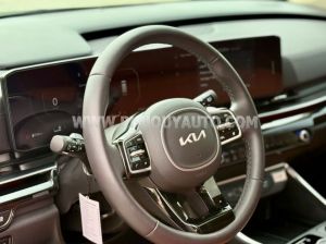 Xe Kia Carnival Signature 2.2D 2025