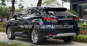 Xe Lexus RX 300 2020