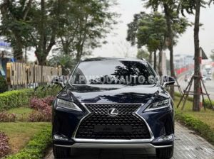Xe Lexus RX 300 2020