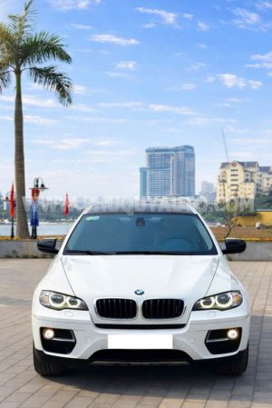 Xe BMW X6 xDrive35i 2013
