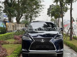 Xe Lexus RX 300 2020