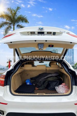 Xe BMW X6 xDrive35i 2013