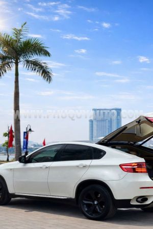 Xe BMW X6 xDrive35i 2013