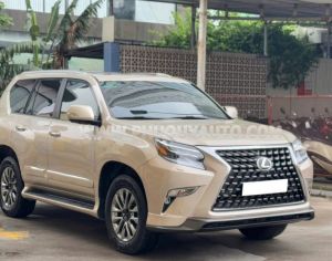 Xe Lexus GX 460 2010